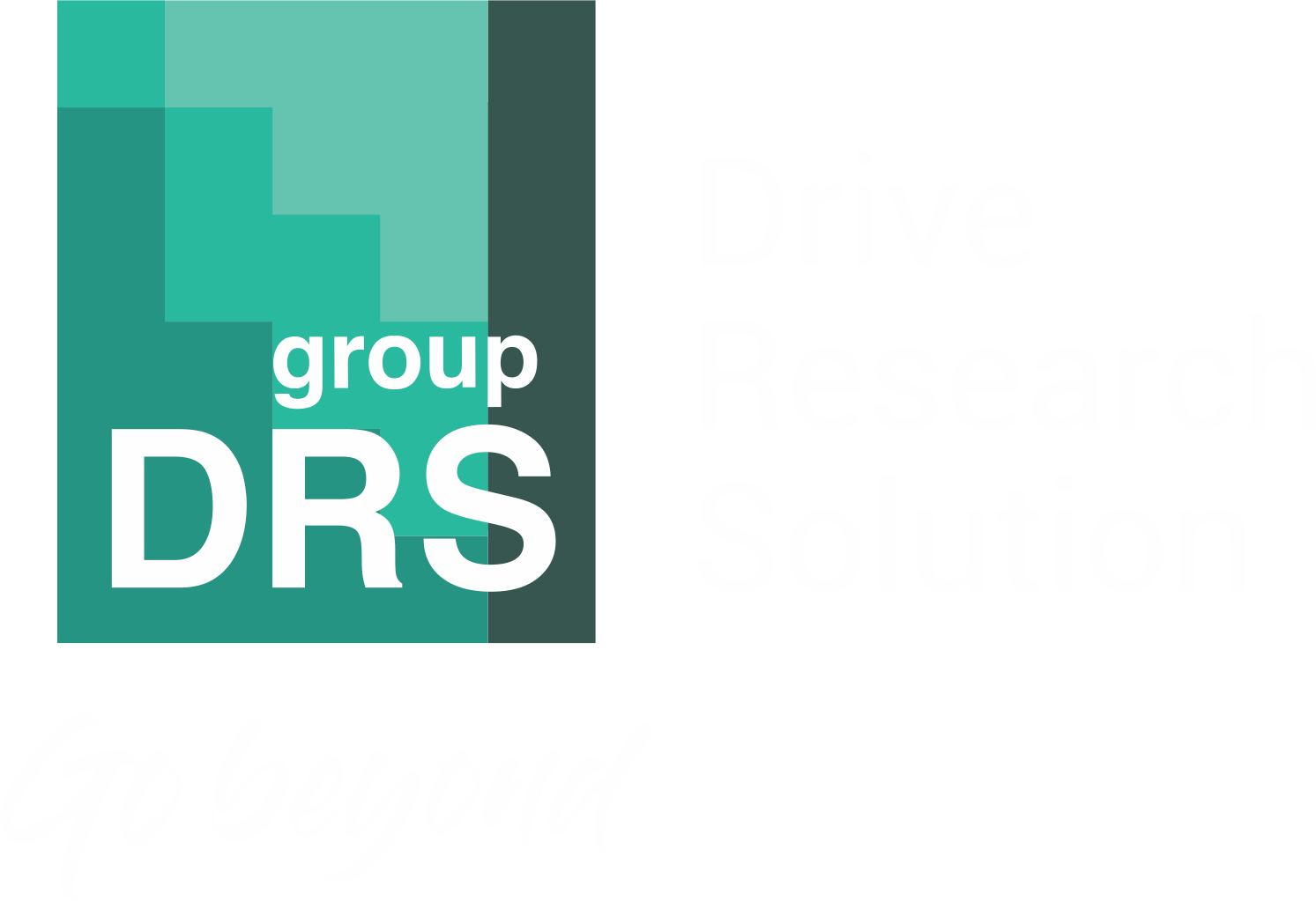 DRS Group - Drive Research Solution